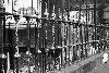 galerie-13