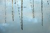 galerie-19